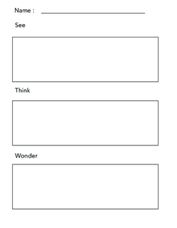 See Think Wonder